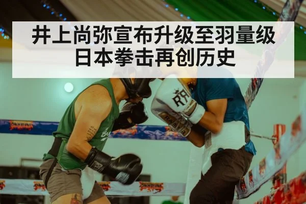 井上尚弥宣布升级至羽量级 日本拳击再创历史